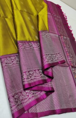 Exclusive Pure Kanchipuram Silk Sarees (25)
