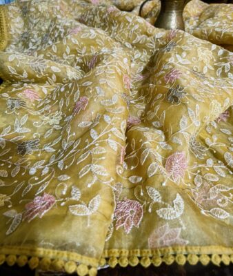 Organza Sarees Exclusive Collection With Blouse (10)