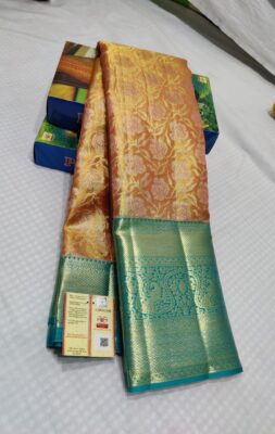 Pure Kanchi Pattu Silk Tissue Sarees (5)