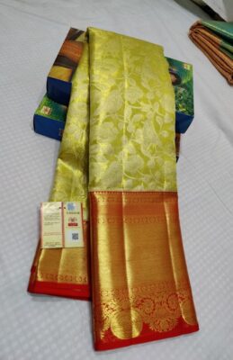 Pure Kanchi Pattu Silk Tissue Sarees (8)