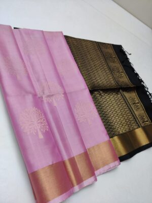 Pure Kanchi Soft Silk With Butties (13)