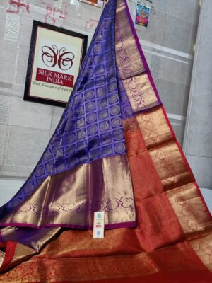 Pure Kanjivaram Silk Brocade Sarees (30)