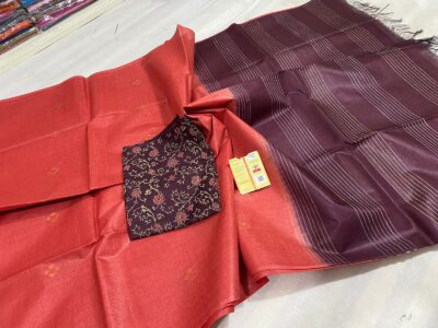 Pure Tussar Fancy Stipes Sarees (6)