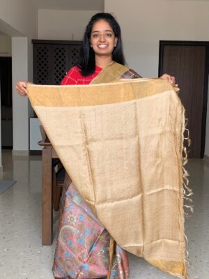 Pure Tussar Silk Collection (32)