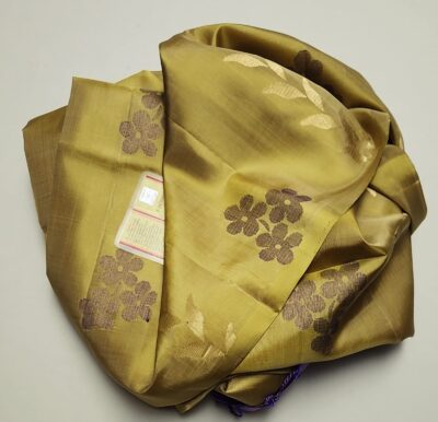 Kanchipuram Silk With Floral Designs With Blouse (16)