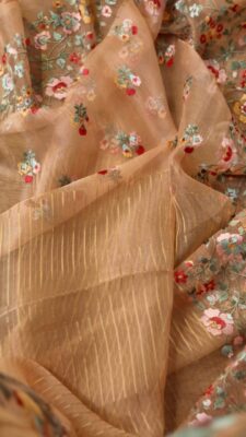 Pure Banaras Organza Silk Stripes Sarees (63)