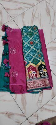 Pure Sequence Chinnon Sarees Online (14)