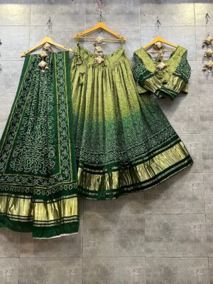 Pure Gajji Silk Lahangas With Price (17)