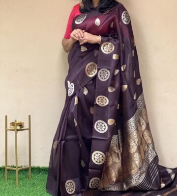 Beautiful Pure Kora Silk Sarees With Blouse (12)