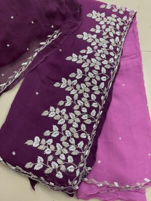 Exclusive Party Wear Chinnon Sarees (37)