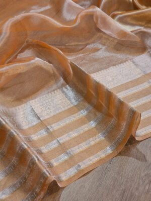 Pure Banaras Tissue Silk Sarees (12)