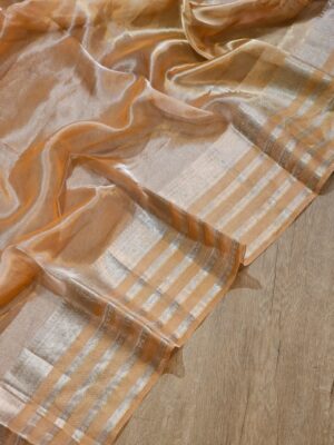 Pure Banaras Tissue Silk Sarees (17)