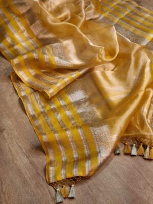 Pure Banaras Tissue Silk Sarees (18)