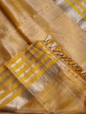 Pure Banaras Tissue Silk Sarees (19)