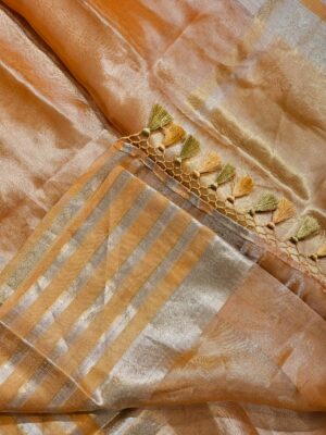 Pure Banaras Tissue Silk Sarees (20)