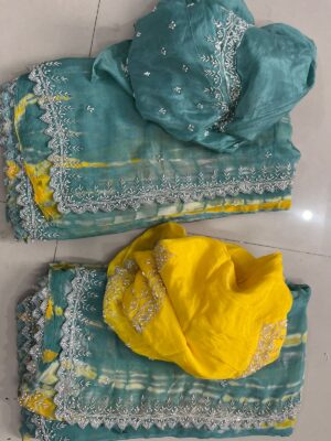Pure Chinnon Sarees With Handwork (17)