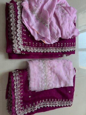 Pure Chinnon Sarees With Handwork (37)