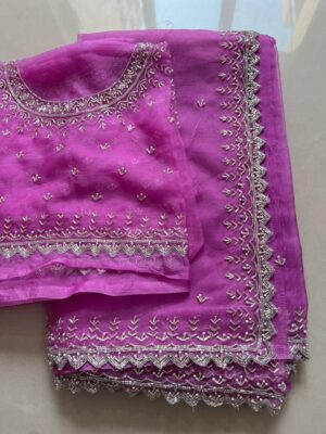 Pure Chinnon Sarees With Handwork (5)