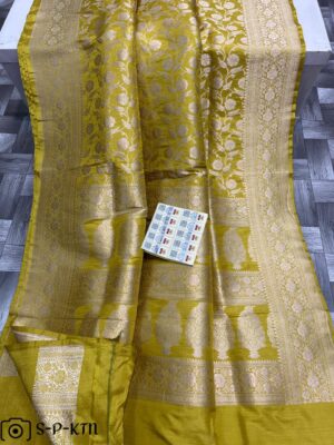 Pure Banarasi Handwoven Katan Silk Sarees (11)