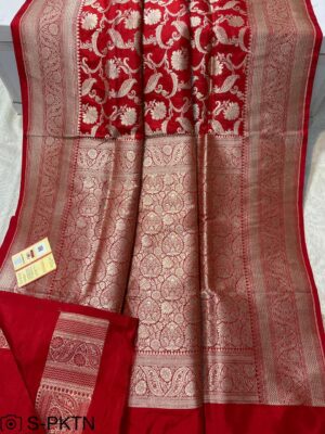 Pure Banarasi Handwoven Katan Silk Sarees (23)