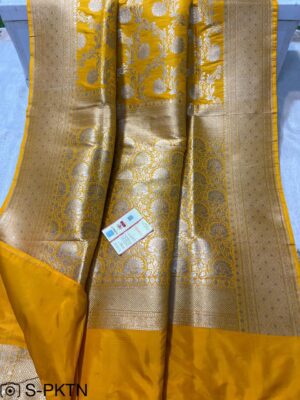 Pure Banarasi Handwoven Katan Silk Sarees (28)