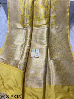 Pure Banarasi Handwoven Katan Silk Sarees (5)