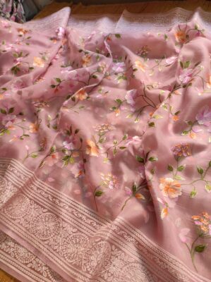 Pure Organza Silk With Jaal Work (23)