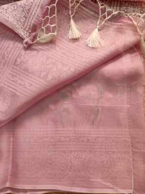 Pure Organza Silk With Jaal Work (9)