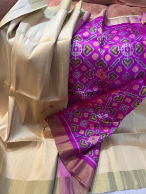 Raw Silk With Pochampally Pallu Sarees (12)