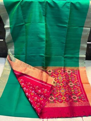 Raw Silk With Pochampally Pallu Sarees (20)