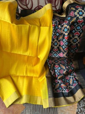 Raw Silk With Pochampally Pallu Sarees (6)