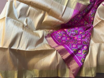 Raw Silk With Pochampally Pallu Sarees (9)