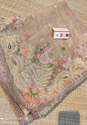 Handloom Pure Tissue Silk Meerdar Border (12)