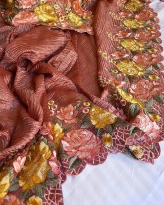 Pure Banaras Tissue Cutwork Sarees (41)