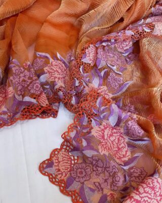 Pure Banaras Tissue Cutwork Sarees (52)