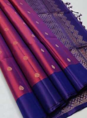 Pure Handloom Double Warp Silk Sarees (11)