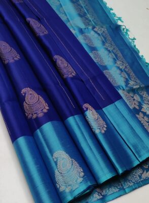 Pure Handloom Double Warp Silk Sarees (5)