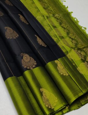 Pure Handloom Double Warp Silk Sarees (9)