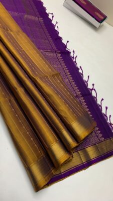 Pure Handloom Double Warp Soft Silk Sarees (13)