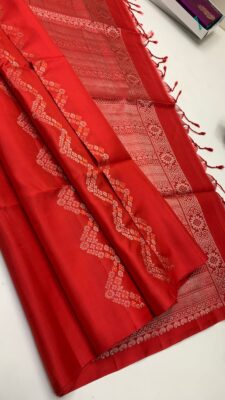 Pure Handloom Double Warp Soft Silk Sarees (15)