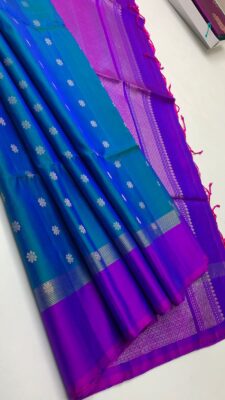 Pure Handloom Double Warp Soft Silk Sarees (17)