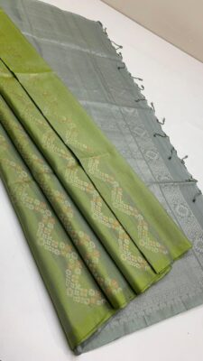 Pure Handloom Double Warp Soft Silk Sarees (2)