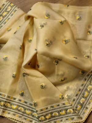 Pure Organza Tissue Silk Sarees (21)