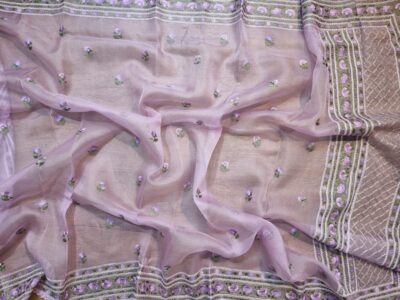 Pure Organza Tissue Silk Sarees (26)