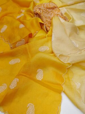 Beautiful Tussar Kota Collection With Blouse (7)