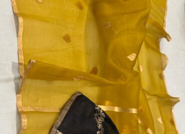 Haoom Banarasi Kora Silk Sarees (3)