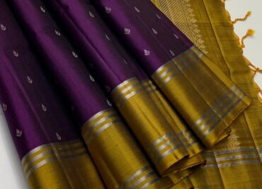 Pure Handloom Borderless Silk Sarees With Blouse (1)
