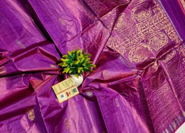 Chattisgarh Handloom Tussar Silk Sarees (21)