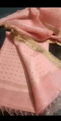 Exclusive Pure Muslin Sequence Hand Weaving Sarees (15)