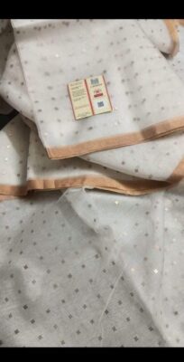 Exclusive Pure Muslin Sequence Hand Weaving Sarees (17)